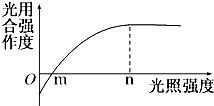 如圖為光合作用與光照強(qiáng)度之間關(guān)系的曲線,光照強(qiáng)度在n點時,限制光合作用強(qiáng)度進(jìn)一步升高的主要因素是