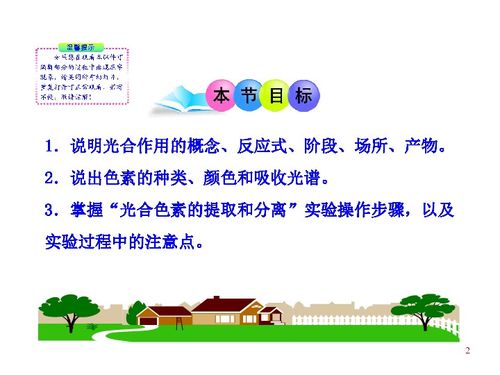 第三章 第五節(jié) 第一課時(shí) 光合作用概述 葉綠素和其他色素 浙科版必修1 浙江專用 下載 生物