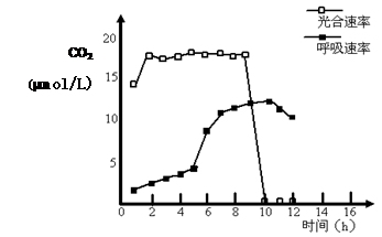 為了探究外界因素與蜜柑光合作用速率之間的關(guān)系,實(shí)驗(yàn)人員在4月 6月測定了某地晴朗天氣條件下蜜柑葉片的凈光合速率 a圖 和胞間c02濃度 b圖 的變化情況 請據(jù)圖回答下列問題